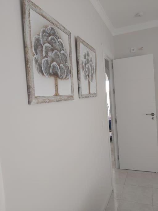 360° Seaview Benalbeach Apartment Benalmadena Exterior photo